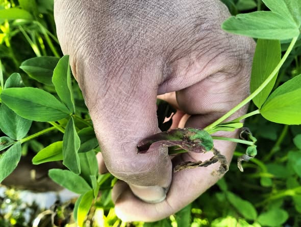 السلام عليكم ورحمة الله وبركاته ممكن تشخيص للأعراض وعلاجها بعد إذنكم